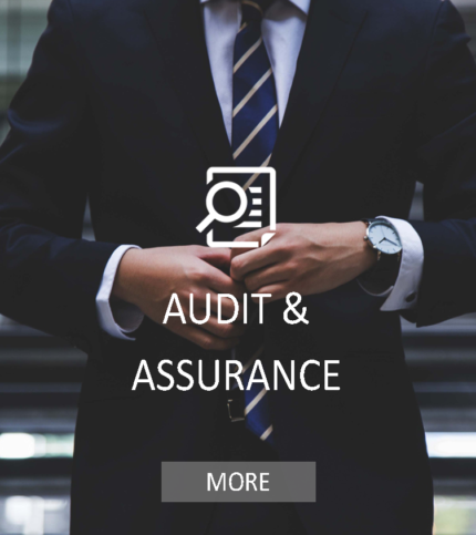 AUDIT AND ASSURANCE
